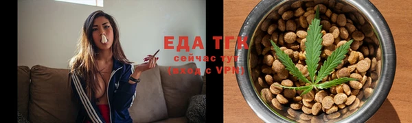 гашик Арсеньев
