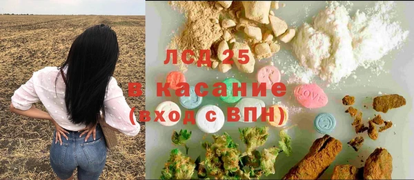 spice Алзамай