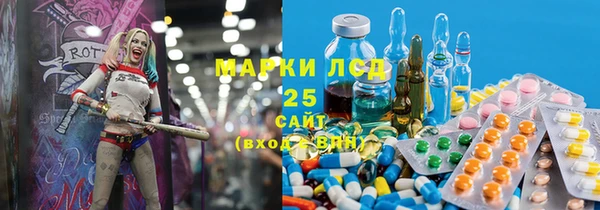 гашик Арсеньев