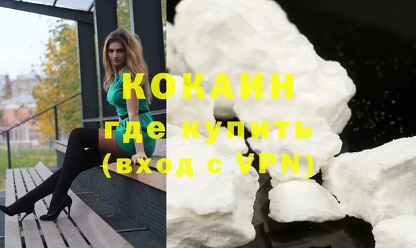 гашик Арсеньев
