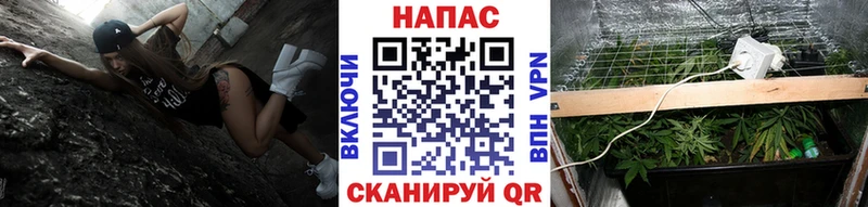 как найти закладки  Козьмодемьянск  Конопля ГИДРОПОН 